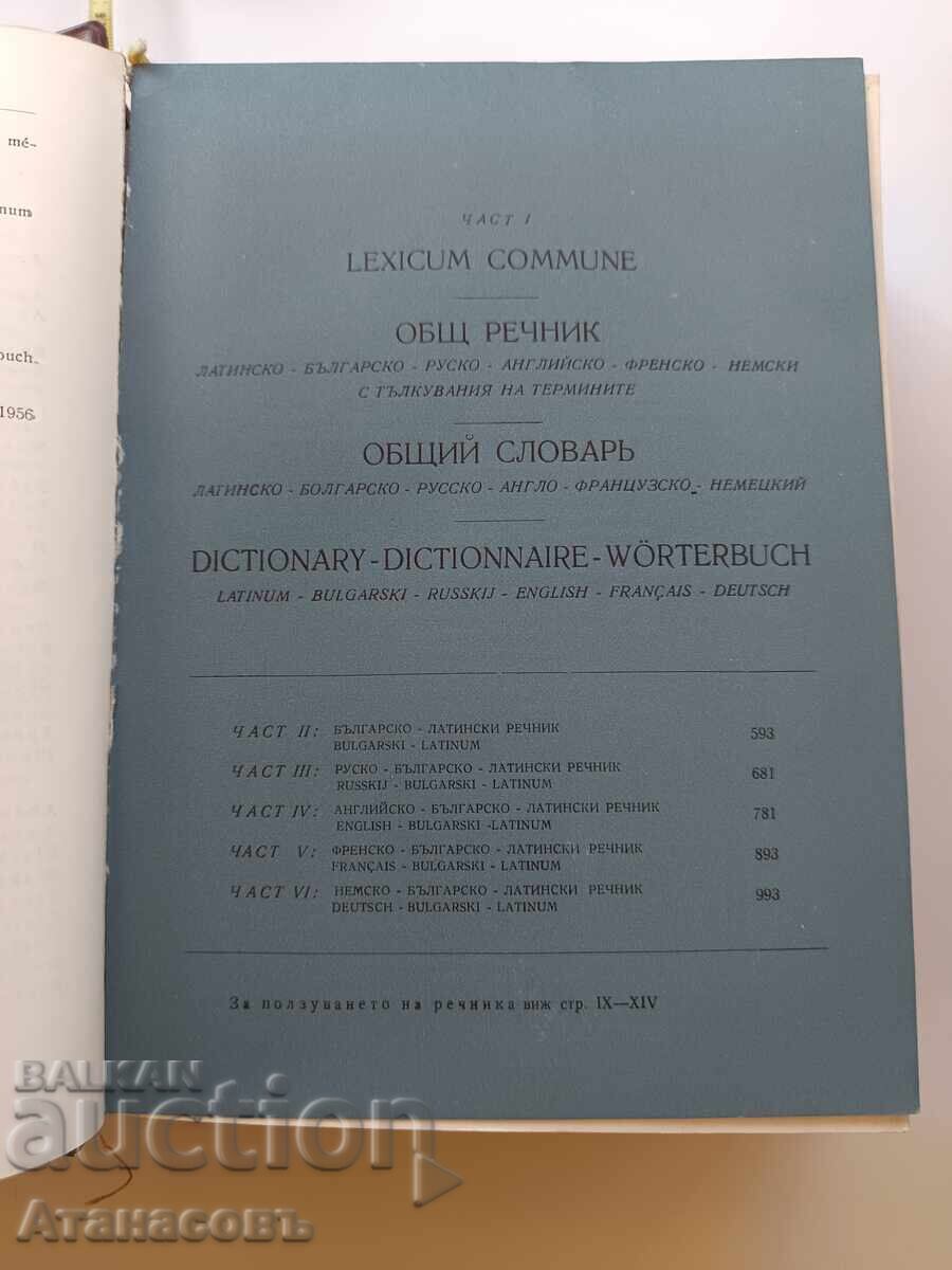 Delivery of Medical terminology in six languages Delivery of Medical terminology in six languages