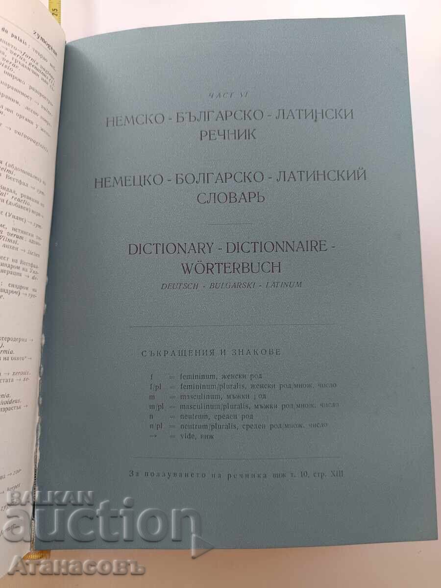 Medical terminology in six languages - 5 Medical terminology in six languages - 5