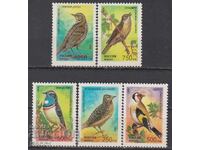 Clean Stamps Fauna Songbirds 1995 from Russia