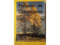 Стара Книга Работа на Природата / Петър Дънов