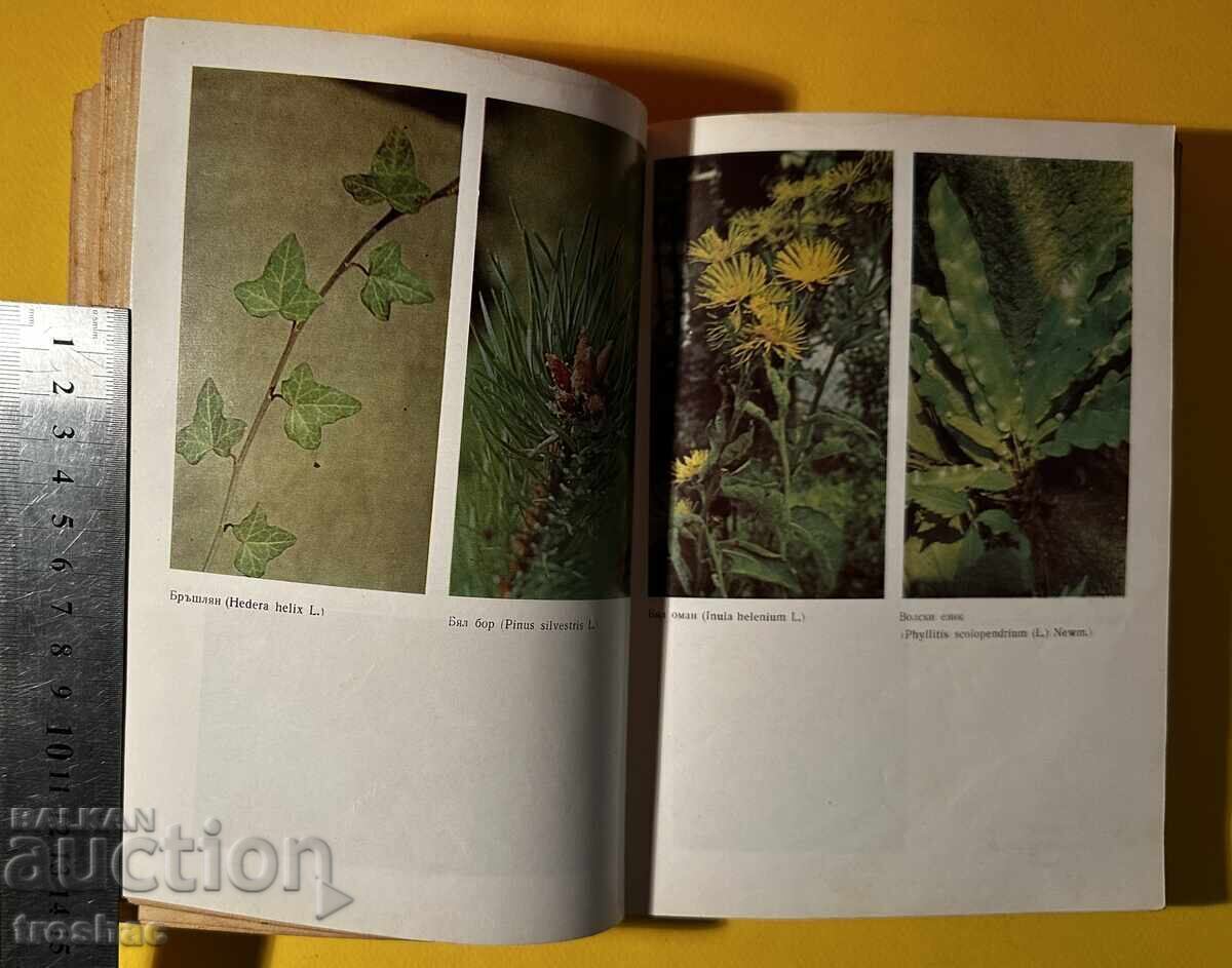 Delivery of Old Book Herbs in Bulgaria and Their Use Ivan Isaev Delivery of Old Book Herbs in Bulgaria and Their Use Ivan Isaev