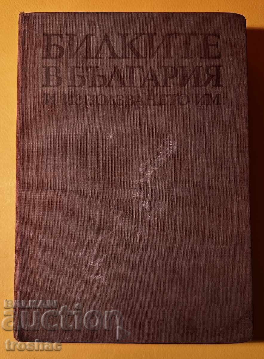 Old Book Herbs in Bulgaria and Their Use Ivan Isaev - 6 Old Book Herbs in Bulgaria and Their Use Ivan Isaev - 6