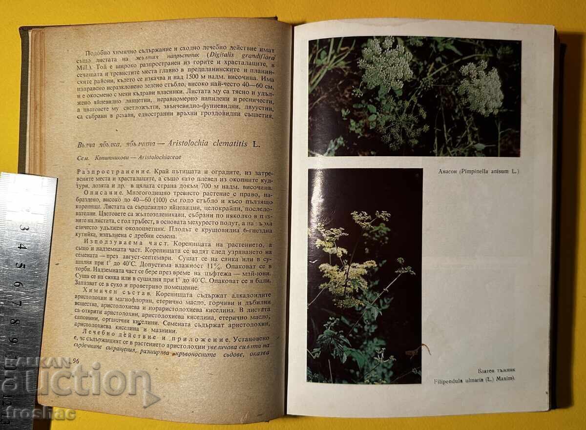 Old Book Herbs in Bulgaria and Their Use Ivan Isaev Old Book Herbs in Bulgaria and Their Use Ivan Isaev