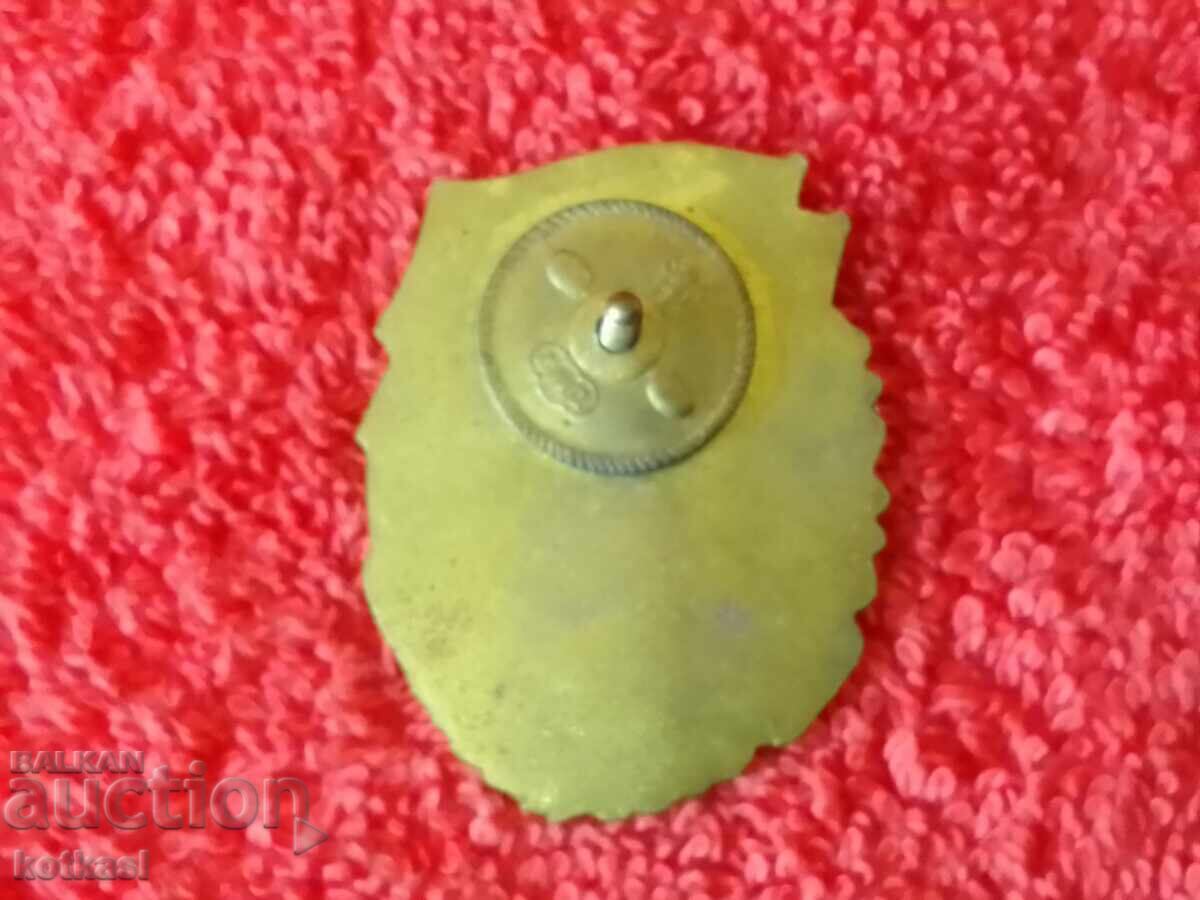 Auction  Old enamel badge EXCELLENT in military and political training screw