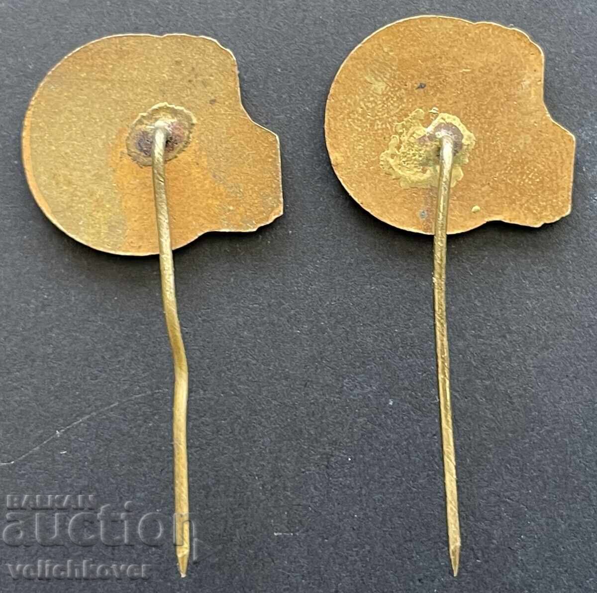 40341 Bulgaria 2 signs Maritsa Iztok TPP enamel 50s with price 20.00 BGN | € 10.23