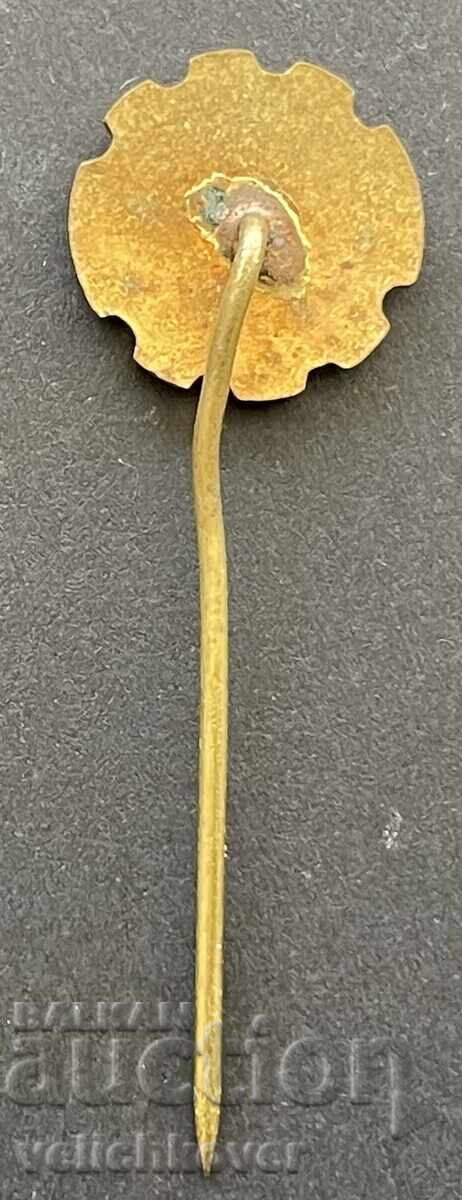 40363 Bulgaria sign Dimitrov Pioneer Organization Septem with price 5.00 BGN | € 2.56 40363 Bulgaria sign Dimitrov Pioneer Organization Septem with price 5.00 BGN | € 2.56