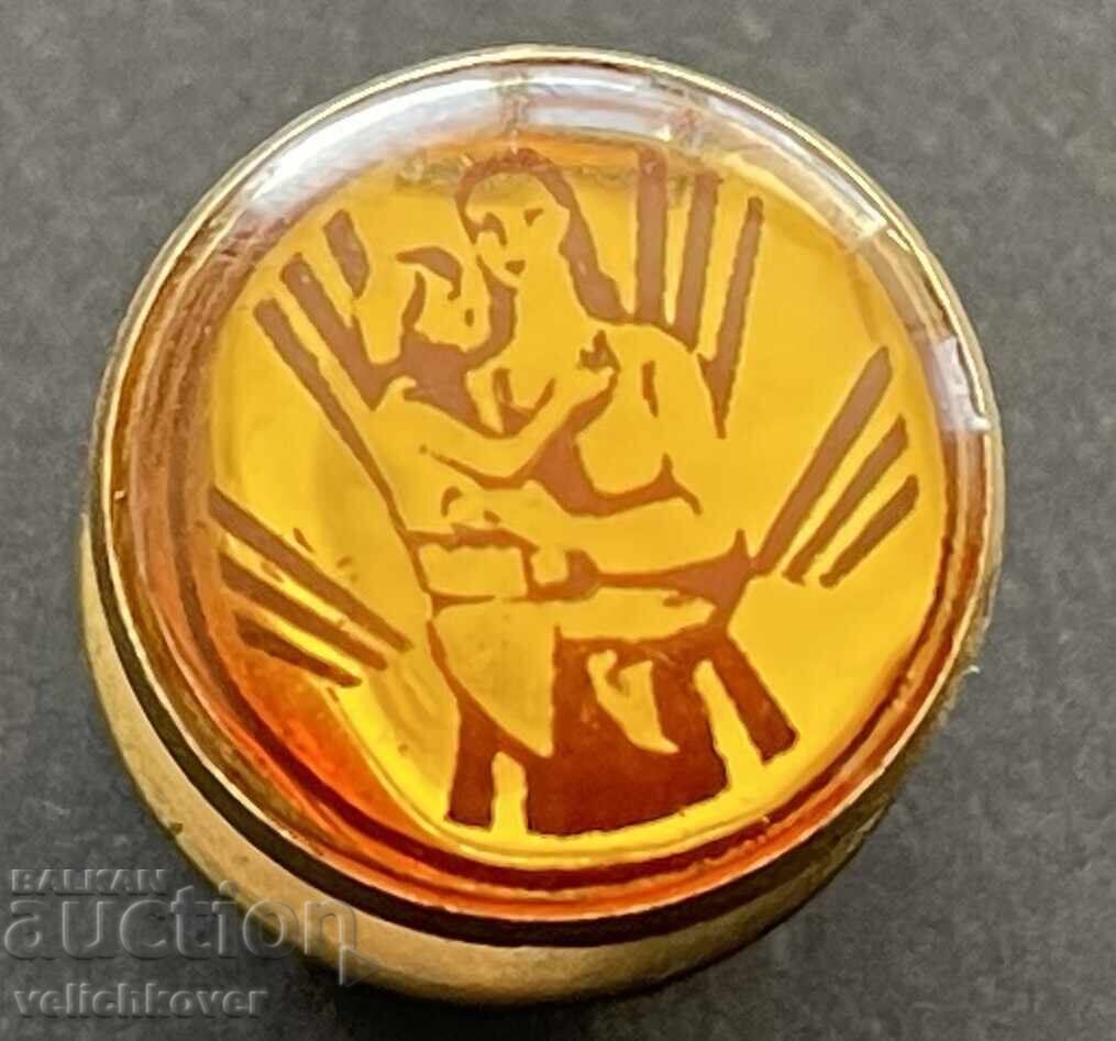 40368 България знак Застрахователно дружество България пин 40368 България знак Застрахователно дружество България пин