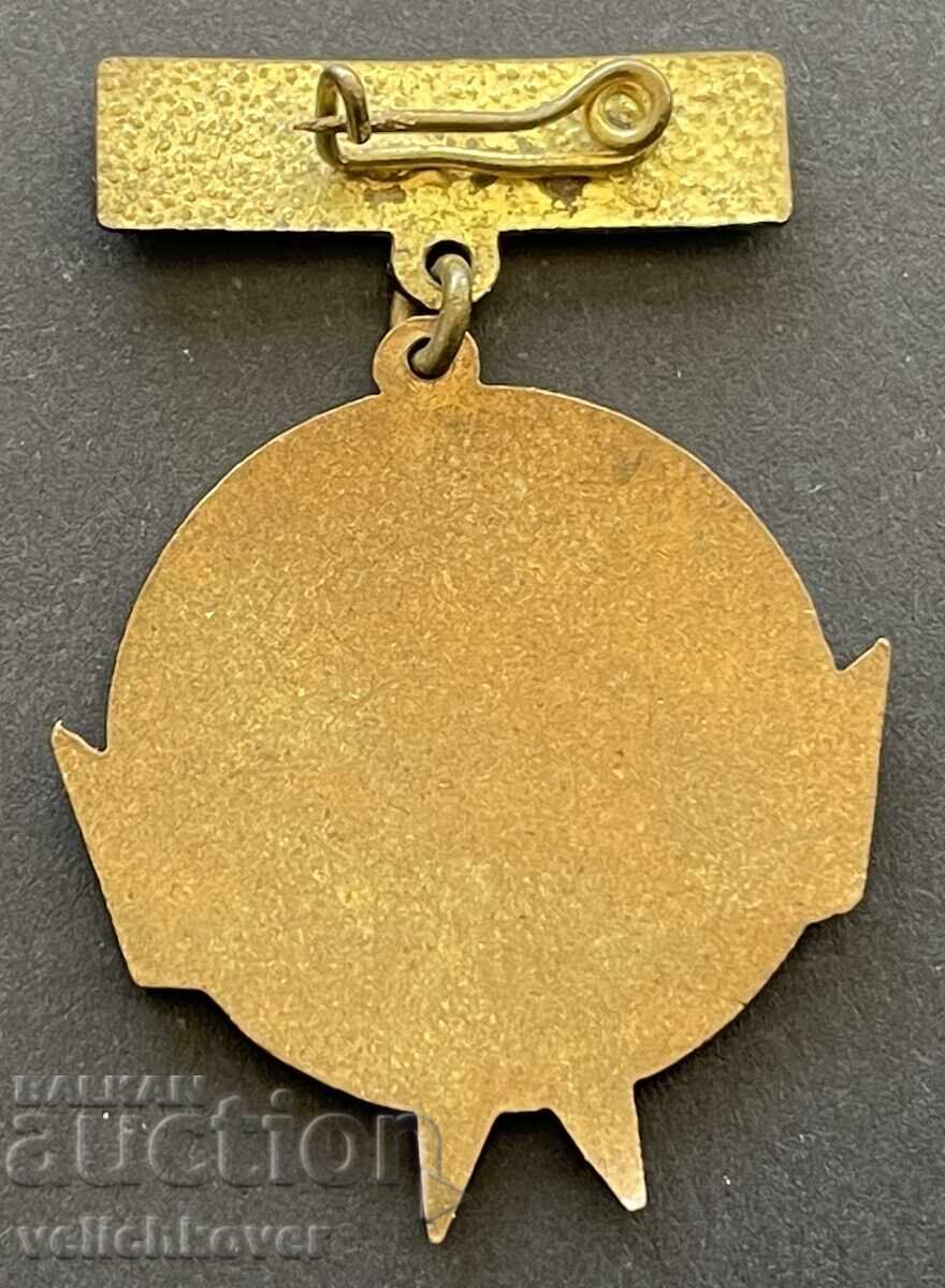 40378 Bulgaria sign Ship Radetzky restored by pioneers with price 6.00 BGN | € 3.07 40378 Bulgaria sign Ship Radetzky restored by pioneers with price 6.00 BGN | € 3.07