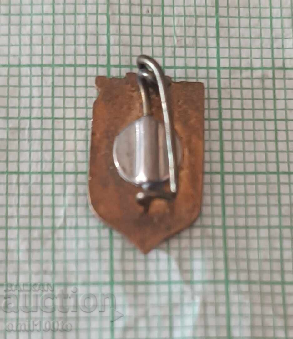 Badge - TsMC USSR Central Marine Club - 5