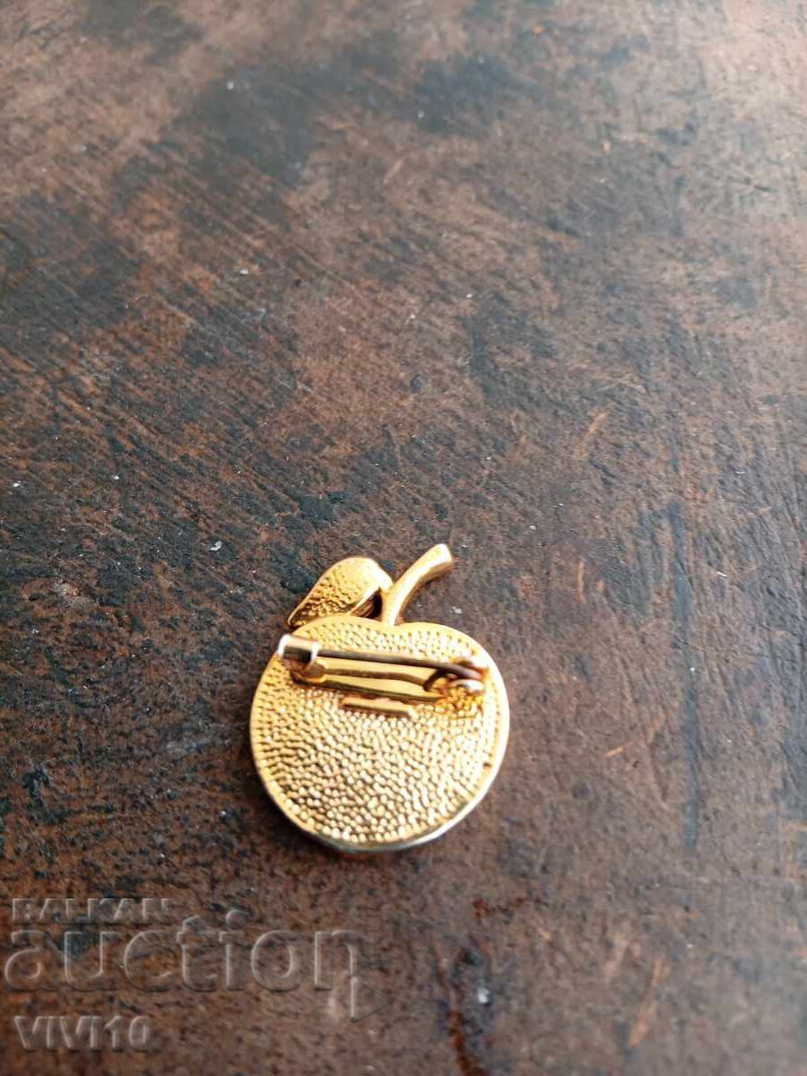 Licitație Broșă veche email