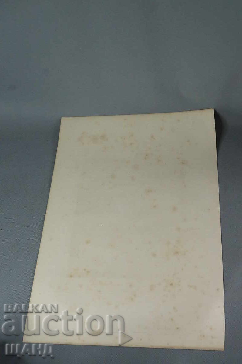 Аукцион 1900 Майсторска рисунка литография портрет на жена Аукцион 1900 Майсторска рисунка литография портрет на жена