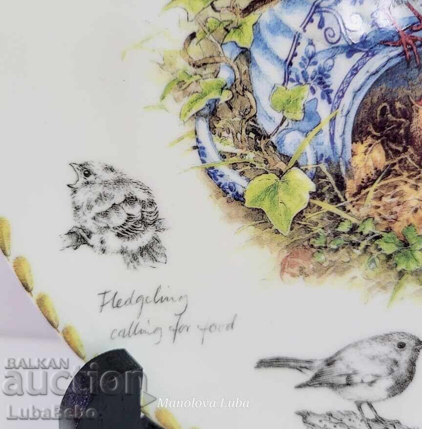 Wedgwood, Danbury Mint, Robin Collector Plate - 6 Wedgwood, Danbury Mint, Robin Collector Plate - 6