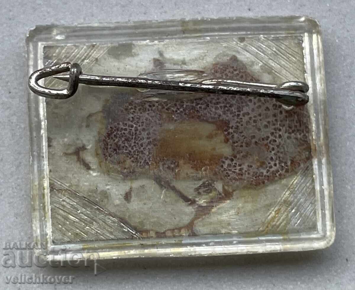 40402 Bulgaria stamp 48th Esperanto Congress held in Sofia with price 4.00 BGN | € 2.05 40402 Bulgaria stamp 48th Esperanto Congress held in Sofia with price 4.00 BGN | € 2.05