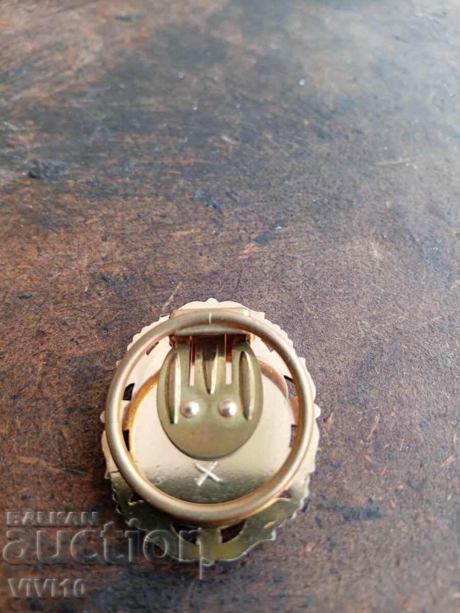 Auction  Antique brooch, cameo