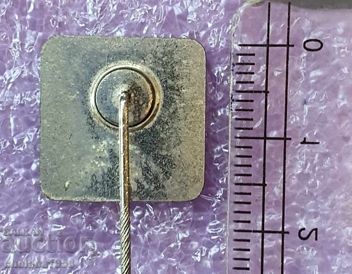 Auction Argentina 1978 World Cup Badge Auction Argentina 1978 World Cup Badge