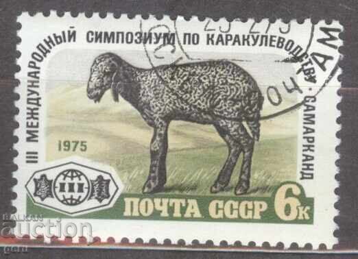 РУСИЯ  печат           1d3