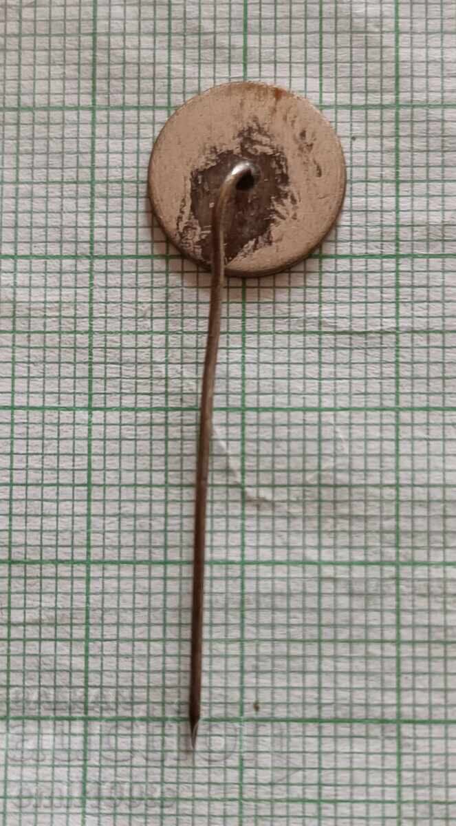 Delivery of Badge - 25 years SFD Academic Sofia Delivery of Badge - 25 years SFD Academic Sofia