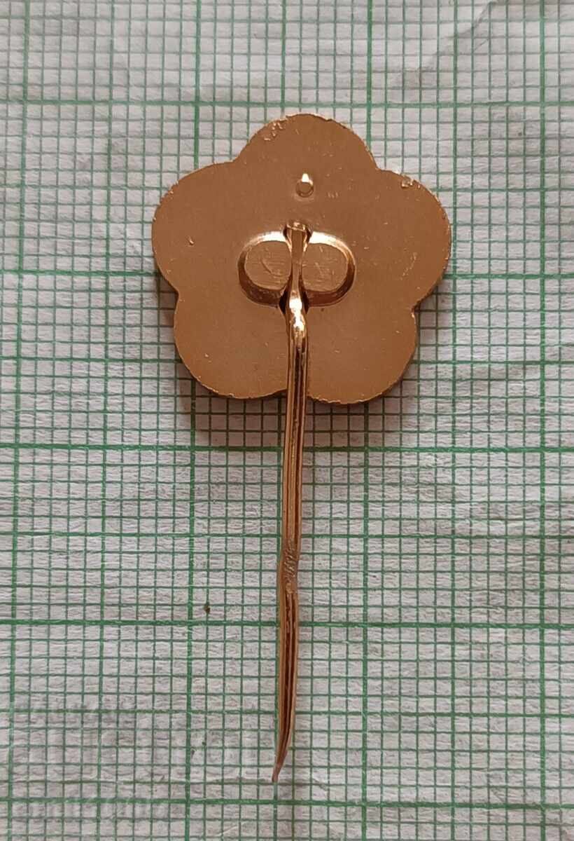 Delivery of Badge - Festival of Youth and Students Algeria 1965 Delivery of Badge - Festival of Youth and Students Algeria 1965