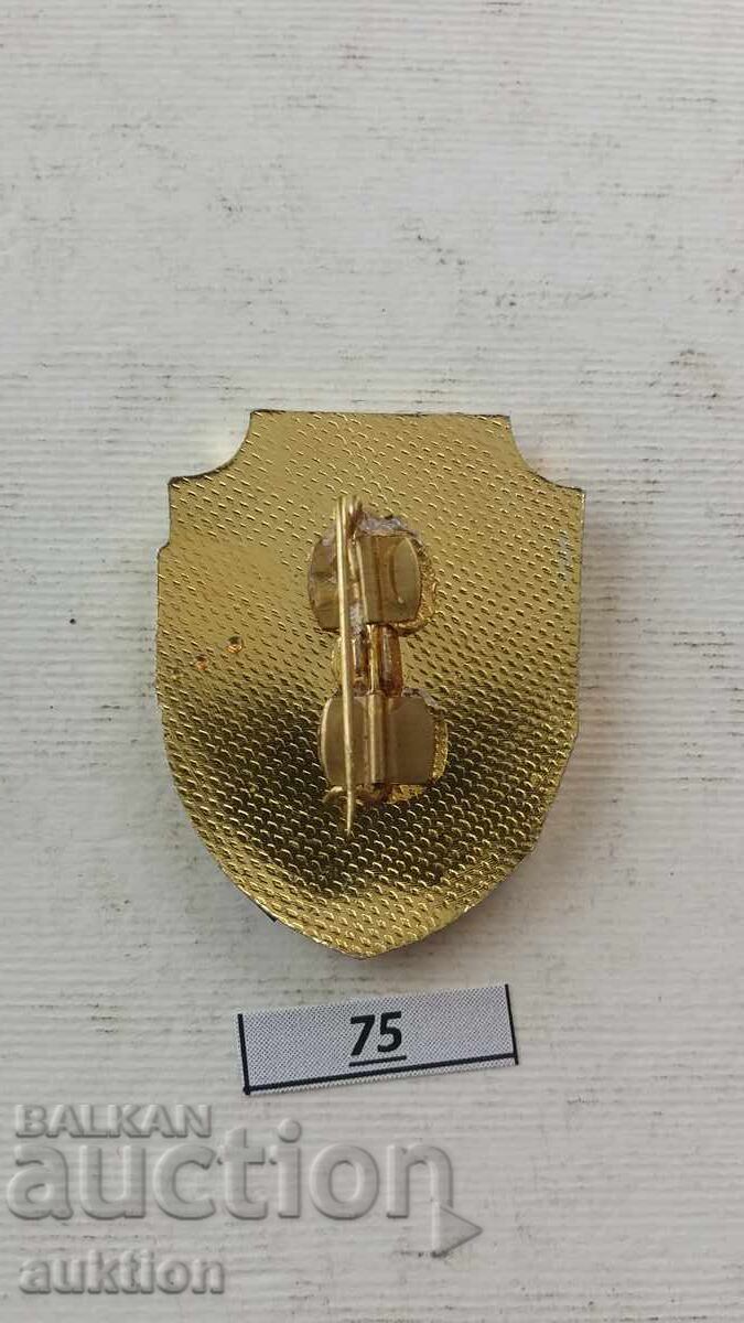 Auction Honorary Squad Member Badge Auction Honorary Squad Member Badge