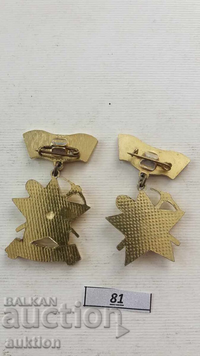 Auction  Badge - Building for the Homeland 2 PIECES UDARNIK