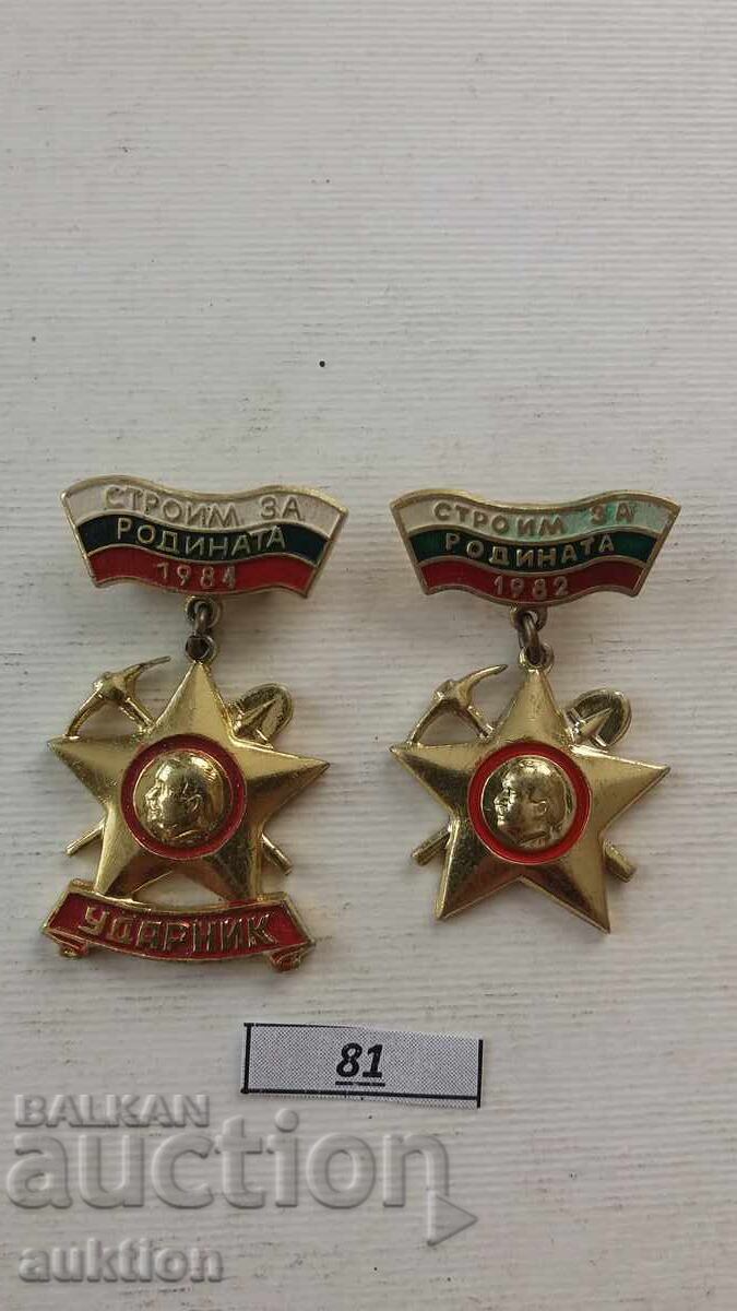 Badge - Building for the Homeland 2 PIECES UDARNIK