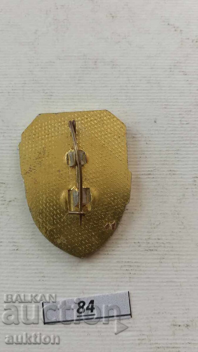 Auction Trooper Badge Auction Trooper Badge