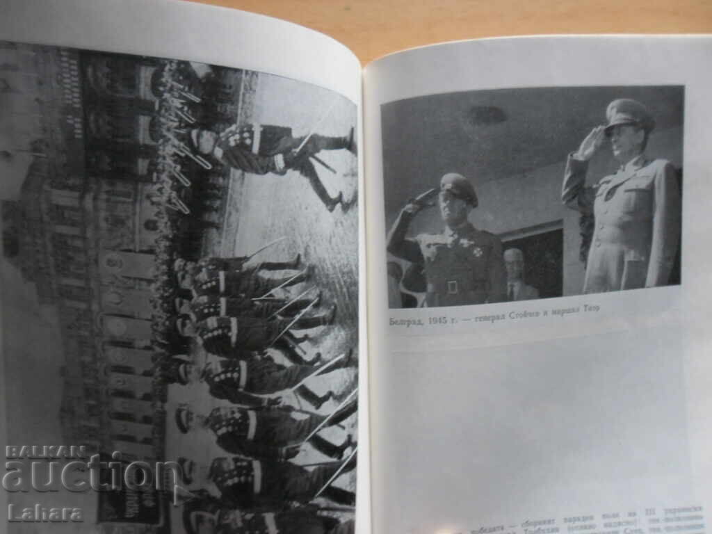 Delivery of Anton Antonov - Tony - Vladimir Stoychev Delivery of Anton Antonov - Tony - Vladimir Stoychev