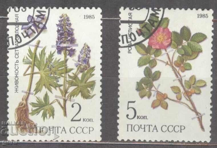 РУСИЯ  печат           1d3