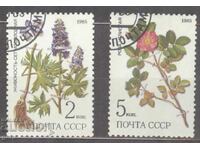 ΡΩΣΙΚΟ γραμματόσημο 1d3