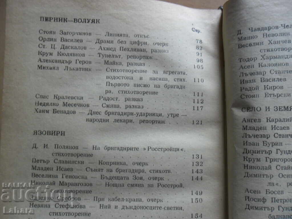 Jurnal de brigadier - 5 Jurnal de brigadier - 5