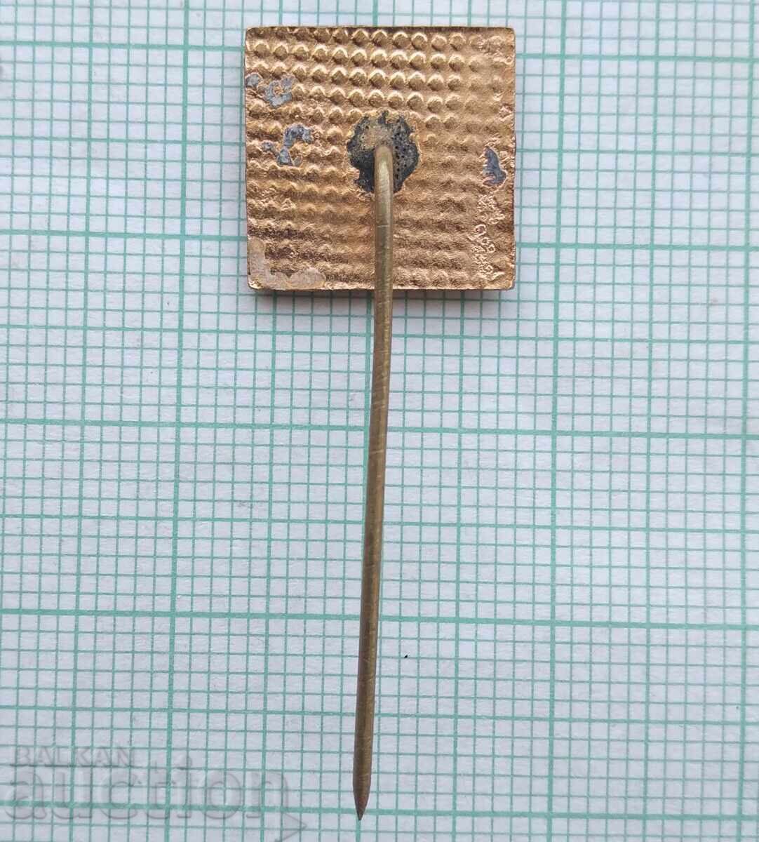 Auction  18519 Public sports instructor BSF - bronze enamel