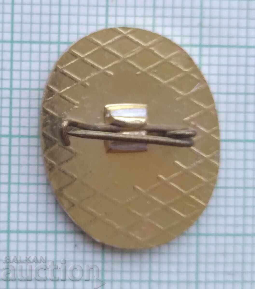 Auction 18494 Badges - Conservationist Auction 18494 Badges - Conservationist