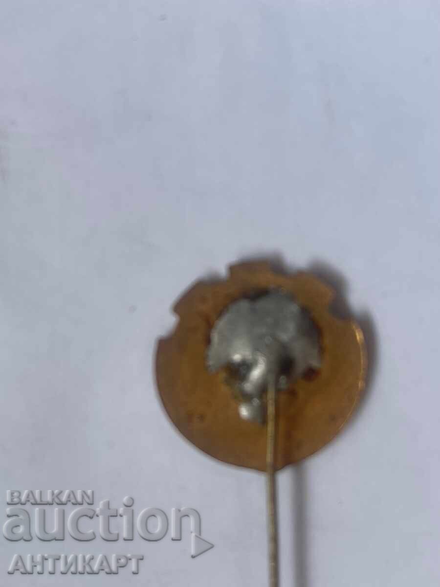 Rare sign First United Workers' Hospital Sofia enamel with price 7.00 BGN | € 3.58