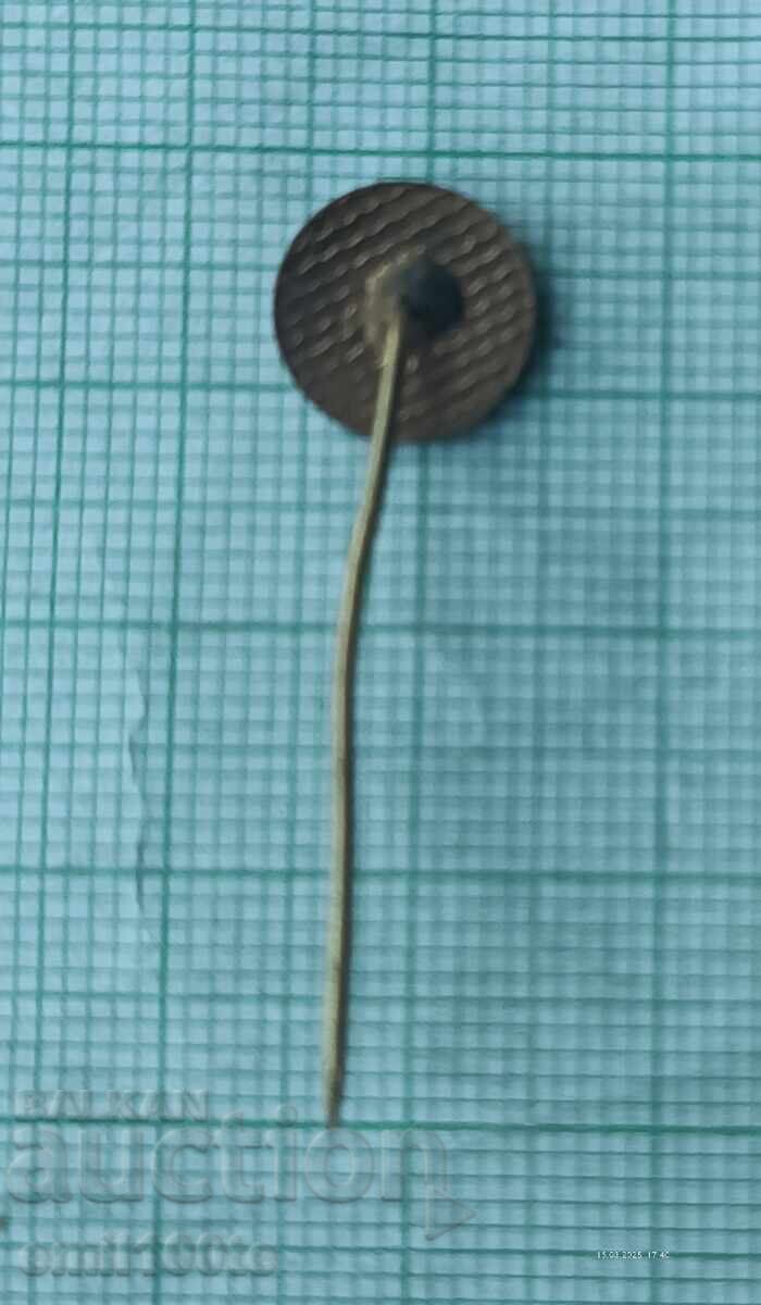 Badge - Semiconductor Factory Botevgrad - 5