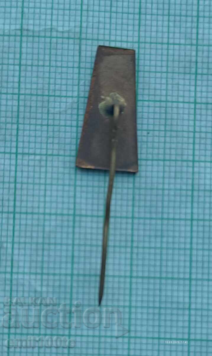 Доставка на Значка- ПМ Варна Доставка на Значка- ПМ Варна