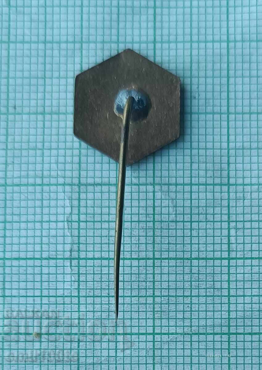 Значка- Промишлена ? - 5