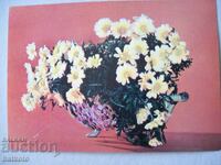 Veche felicitare din perioada socialistă