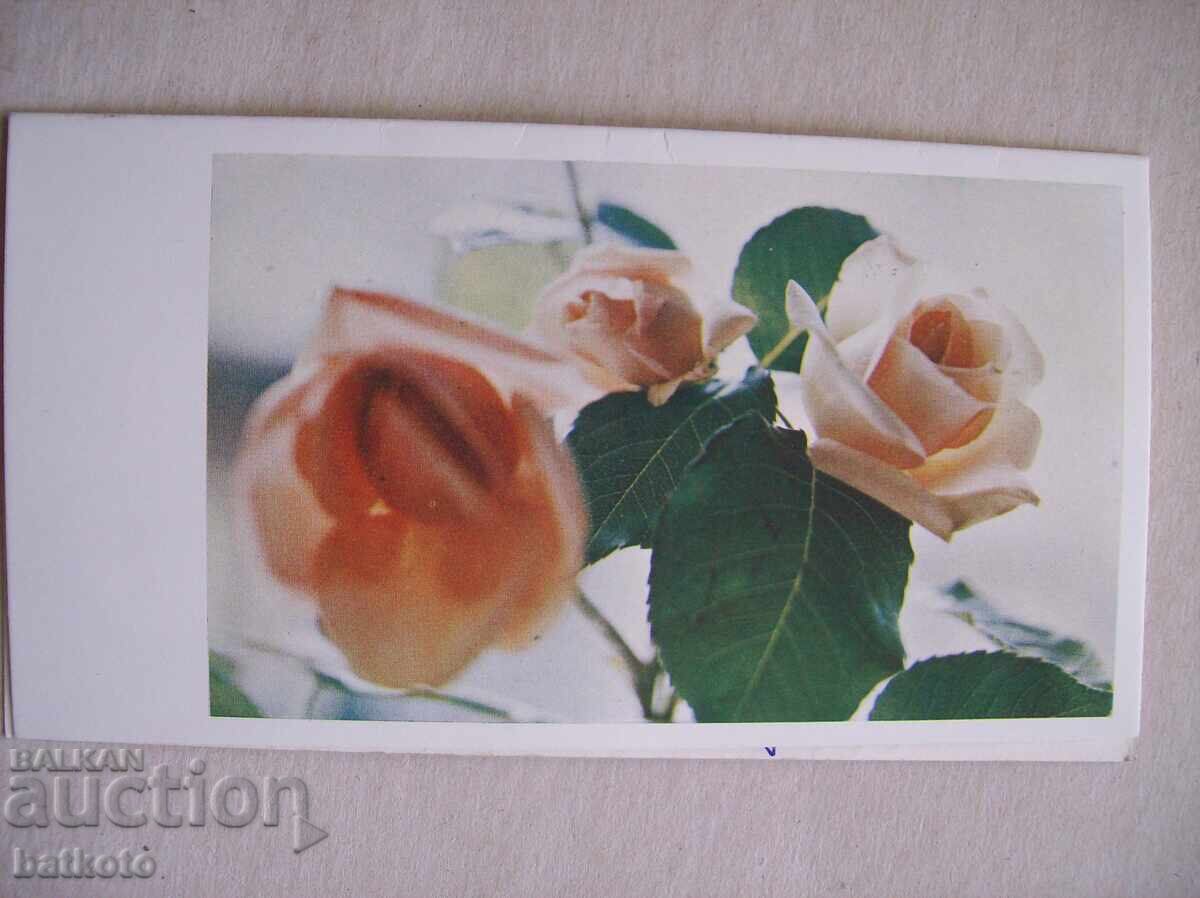 Veche felicitare din perioada socialistă