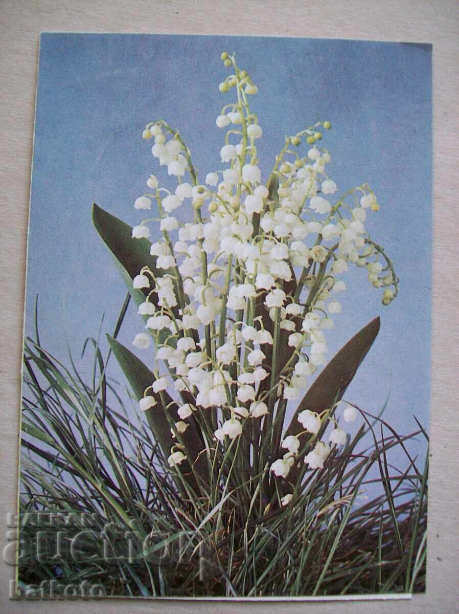 Old greeting card from the socialist era Old greeting card from the socialist era