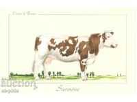Παλιά καρτ ποστάλ - πανίδα - Αγελάδα