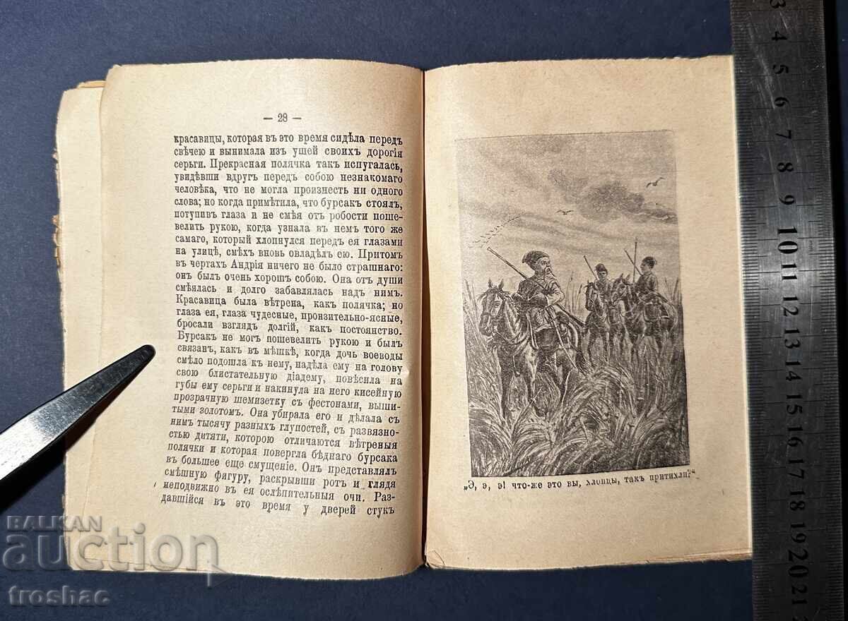 Old Book Potato Terrace / A.S. Panafidina 1911 - 5 Old Book Potato Terrace / A.S. Panafidina 1911 - 5