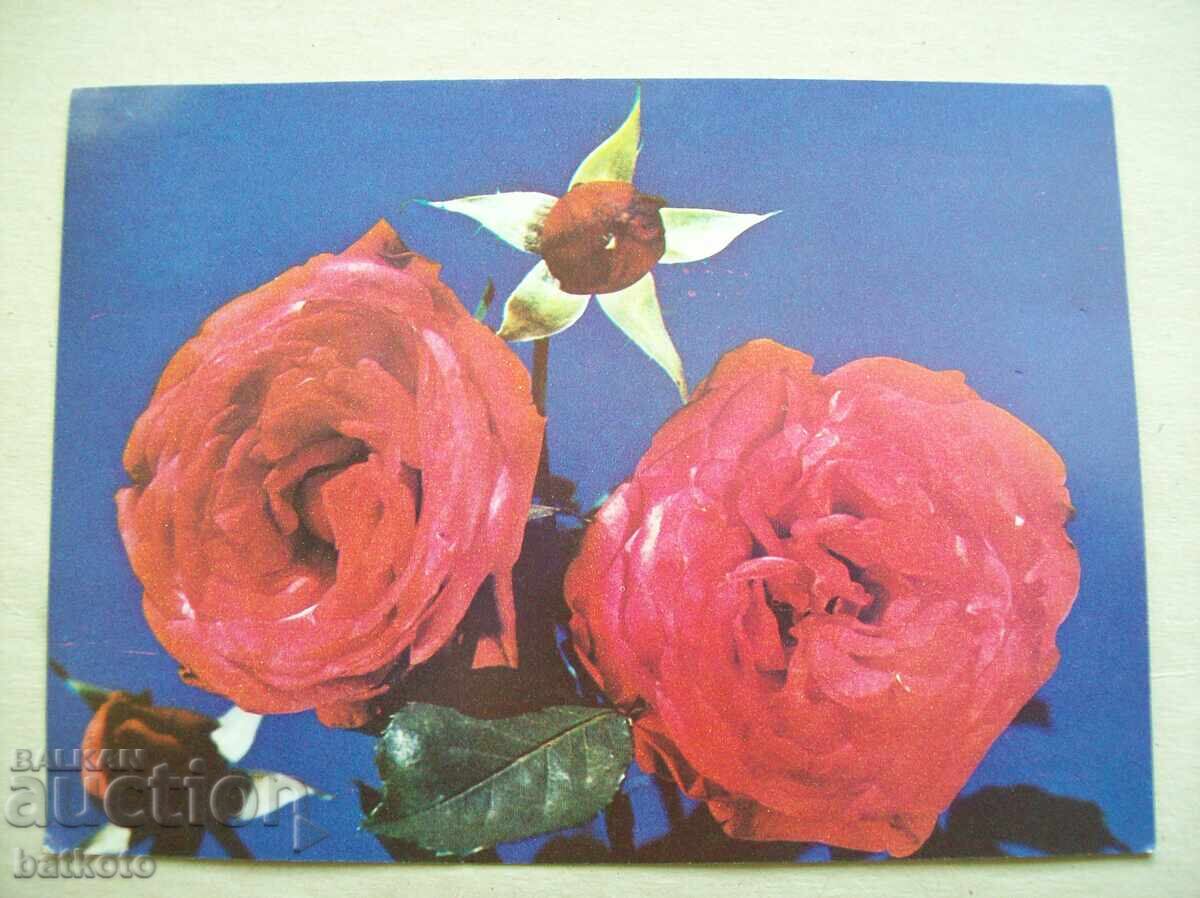 Old greeting card from the socialist era Old greeting card from the socialist era