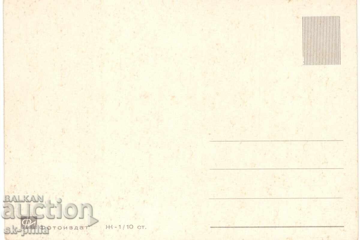 Old postcard - fauna - Kitten with price 1.50 BGN | € 0.77 Old postcard - fauna - Kitten with price 1.50 BGN | € 0.77