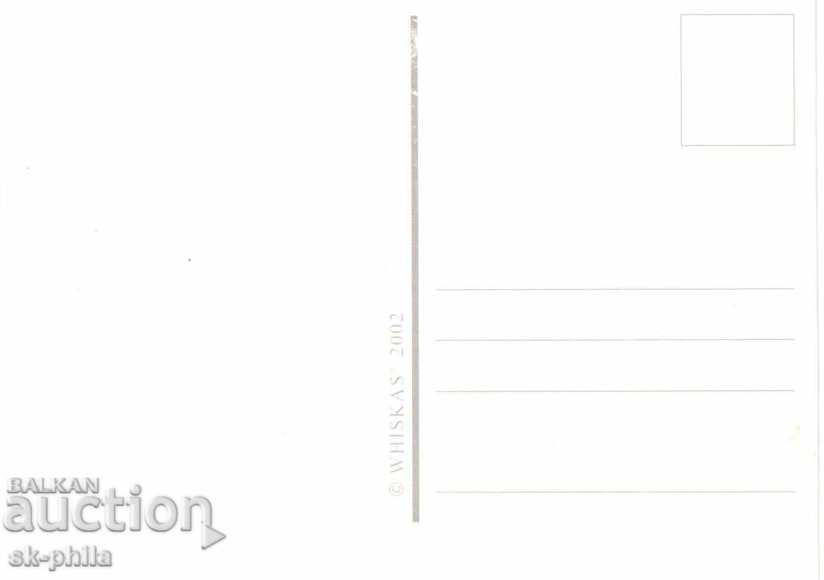 Carte poștală veche - faună - Pisoi cu preț 1.50 BGN | € 0.77