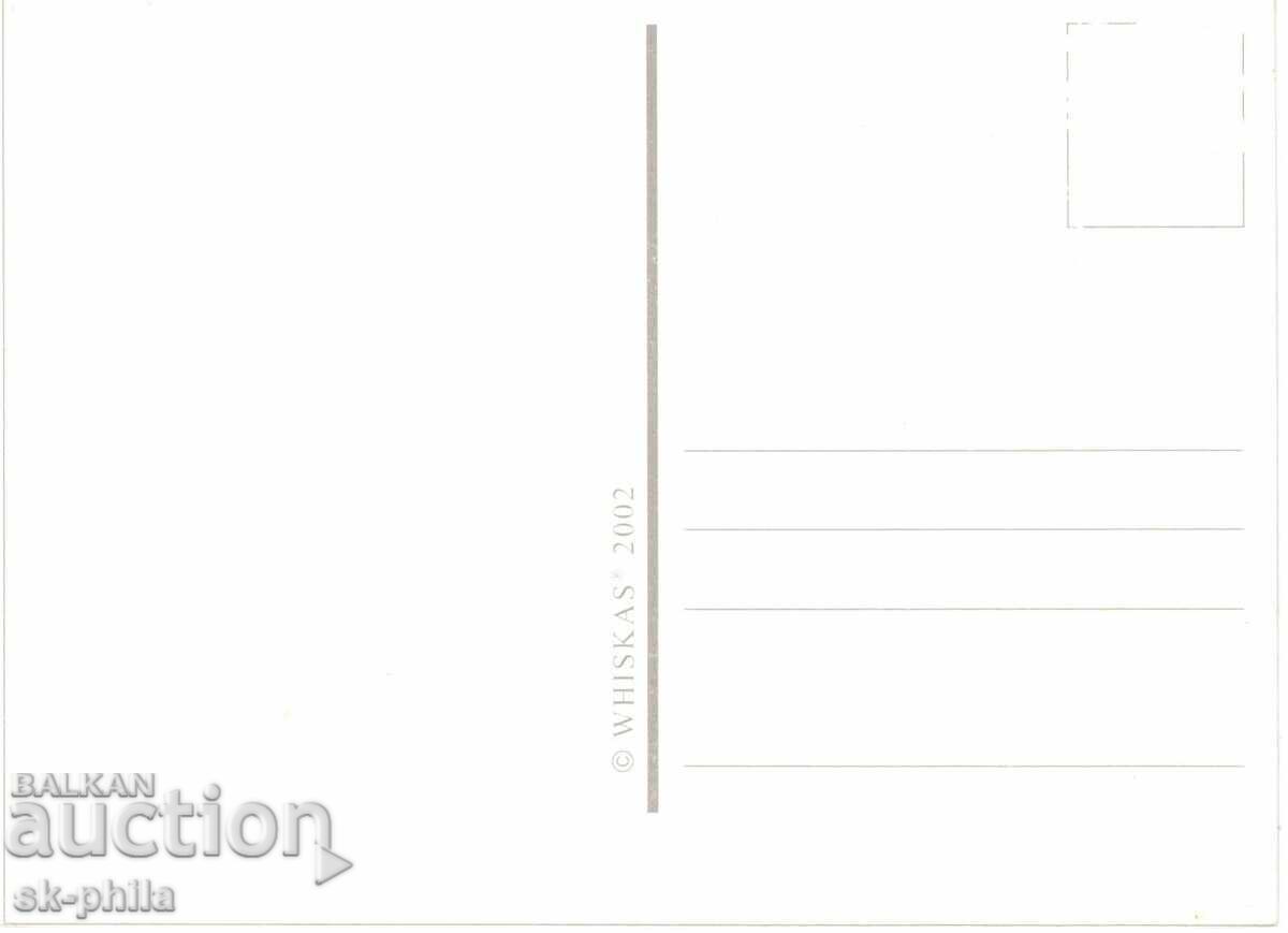 Carte poștală veche - faună - Pisoi cu preț 1.50 BGN | € 0.77