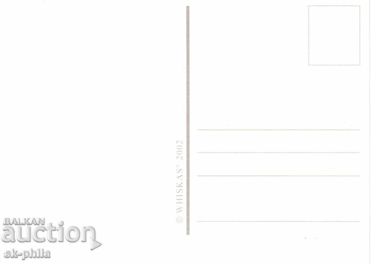 Carte poștală veche - faună - Pisoi cu preț 1.50 BGN | € 0.77 Carte poștală veche - faună - Pisoi cu preț 1.50 BGN | € 0.77