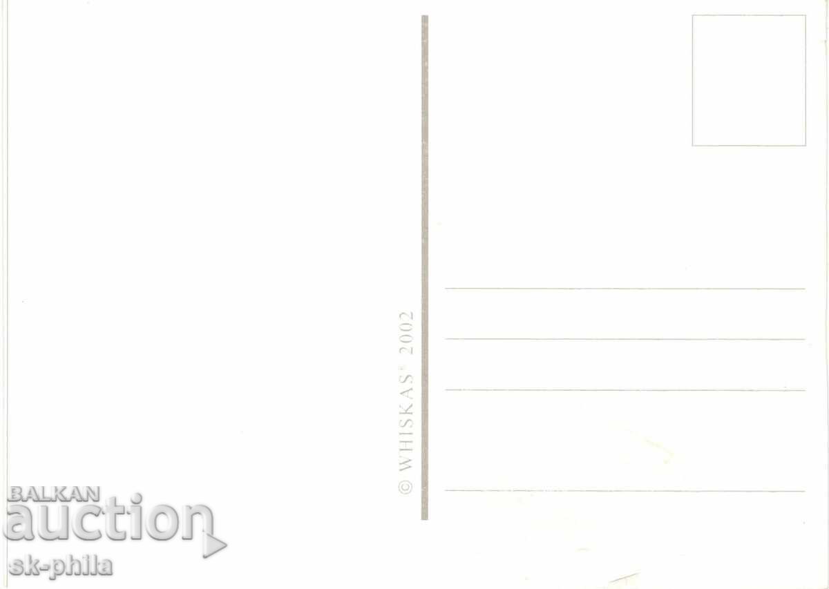 Carte poștală veche - faună - Pisoi cu preț 1.50 BGN | € 0.77 Carte poștală veche - faună - Pisoi cu preț 1.50 BGN | € 0.77