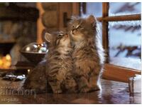 Παλιά καρτ ποστάλ - πανίδα - Γατάκια