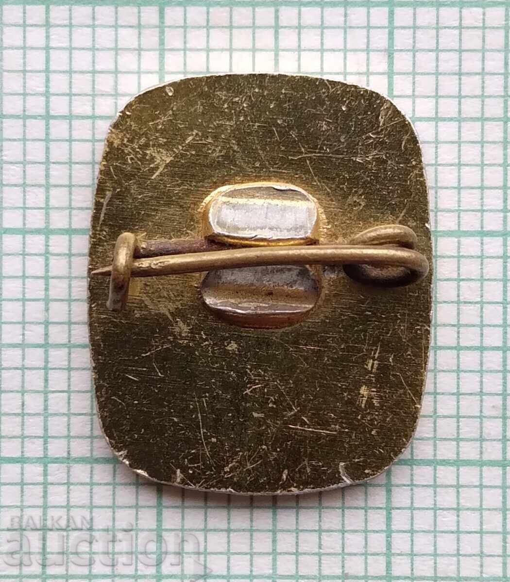 Аукцион 18524 Значка - герб на град Копривщица Аукцион 18524 Значка - герб на град Копривщица