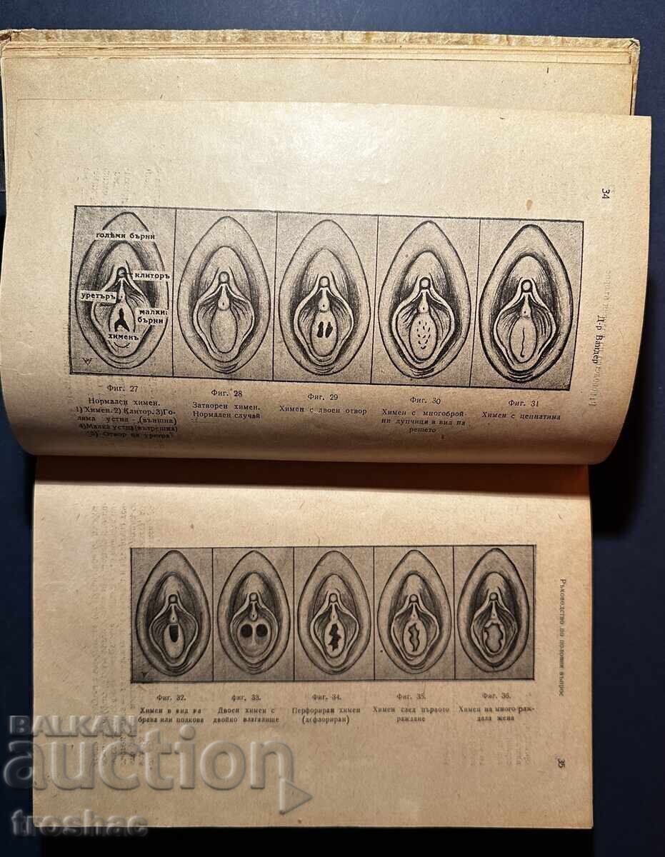 Old Book Guide to the Sexual Question Dr. Vander 1946 - 6 Old Book Guide to the Sexual Question Dr. Vander 1946 - 6